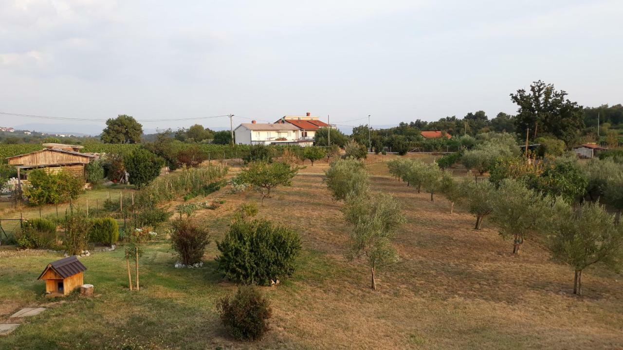 House Barizoni Ankaran Exterior foto
